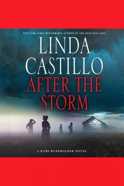 After the storm / Linda Castillo.