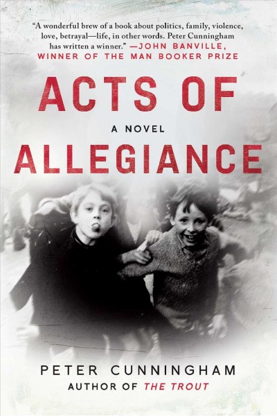 Acts of allegiance : a novel / Peter Cunningham.