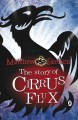 The story of Cirrus Flux Cover Image