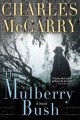 Go to record The mulberry bush : a novel