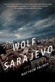 Go to record The wolf of Sarajevo