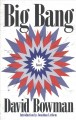 Big bang : a nonfiction novel  Cover Image
