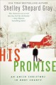 Go to record His promise : an Amish Christmas in Hart County