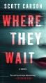 Where they wait : a novel  Cover Image