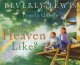 What is heaven like?  Cover Image